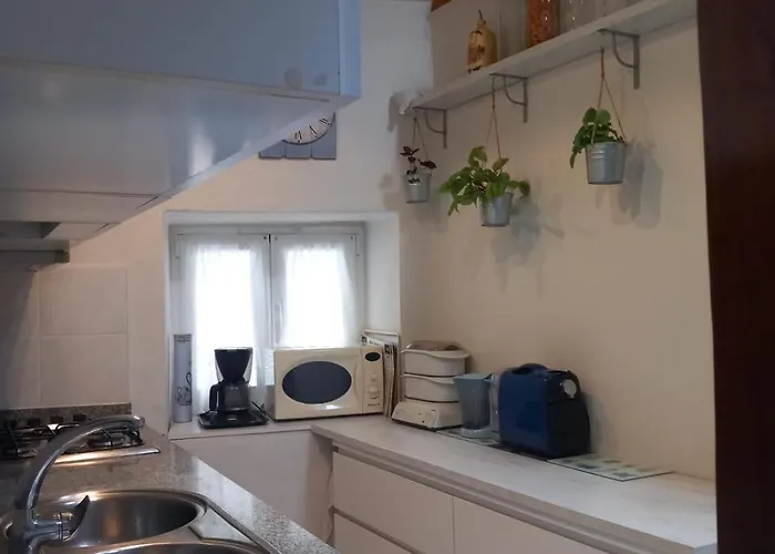 Hébergement de vacances Casa Do Paço Com Jardim Privado - Centro De Terras De Bouro, Gerês Terras de Bouro