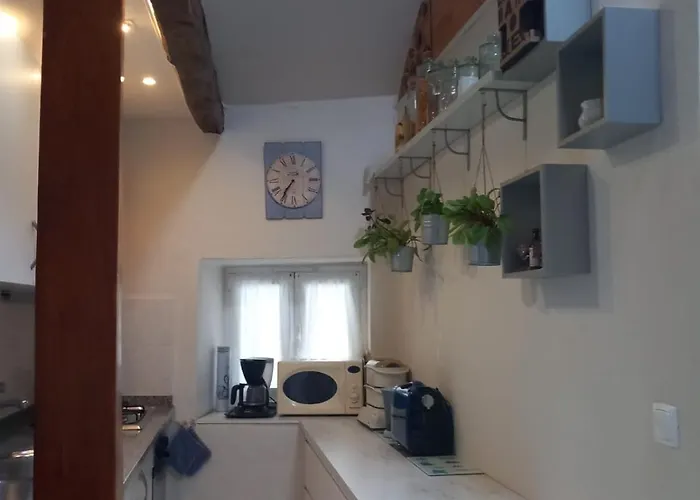 Casa Do Paco Com Jardim Privado - Centro De Terras De Bouro, Geres 特拉什杜博鲁